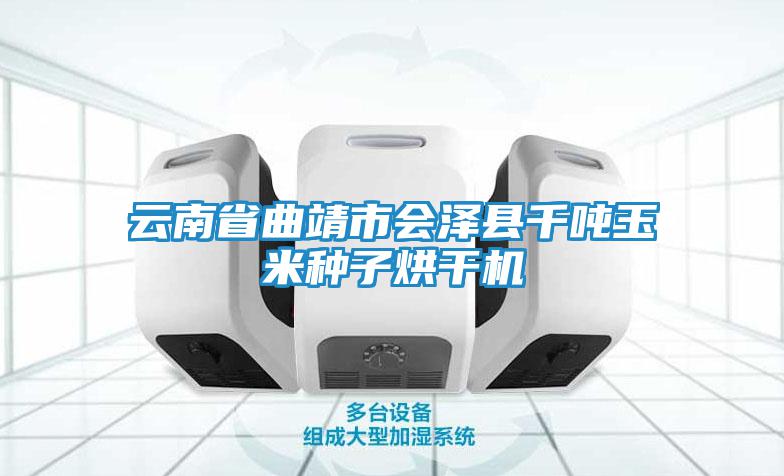 云南省曲靖市會澤縣千噸玉米種子烘干機(jī)