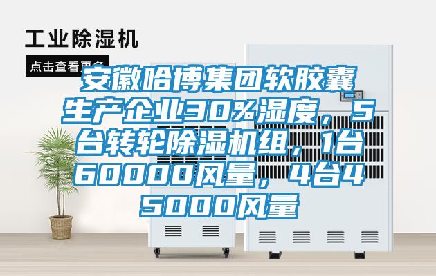安徽哈博集團軟膠囊生產企業30%濕度，5臺轉輪除濕機組，1臺60000風量，4臺45000風量
