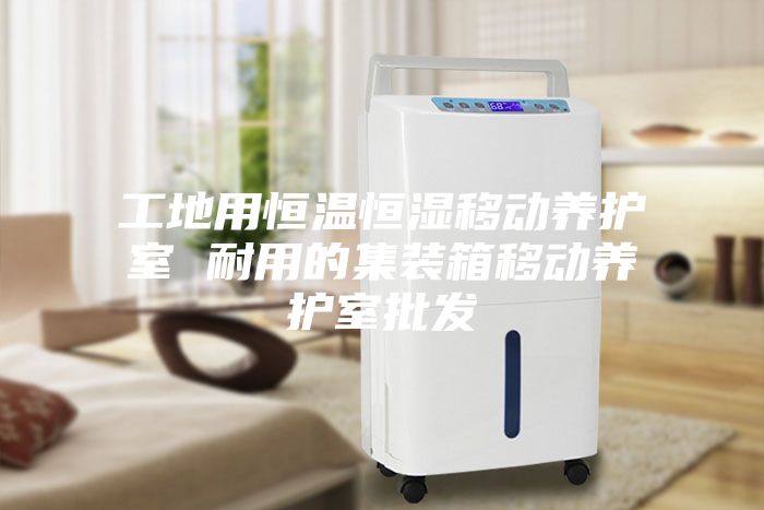 工地用恒溫恒濕移動養(yǎng)護(hù)室 耐用的集裝箱移動養(yǎng)護(hù)室批發(fā)