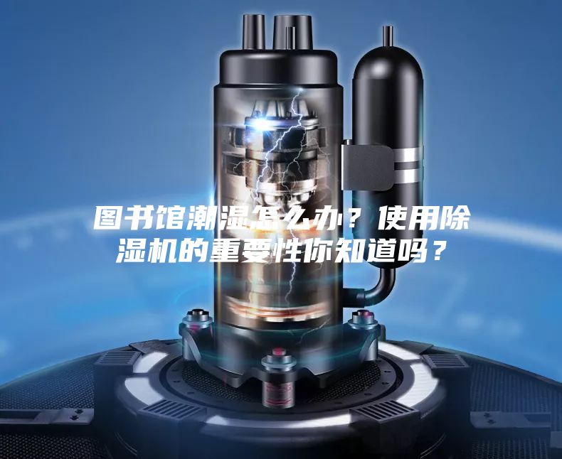 圖書館潮濕怎么辦？使用除濕機(jī)的重要性你知道嗎？