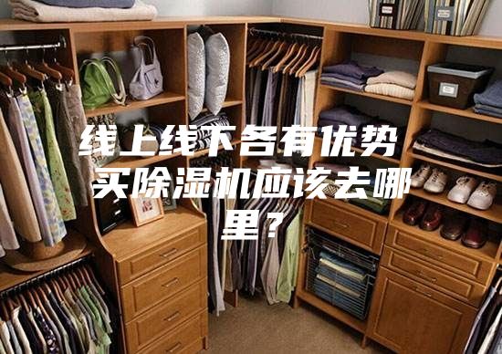 線上線下各有優(yōu)勢 買除濕機應(yīng)該去哪里？