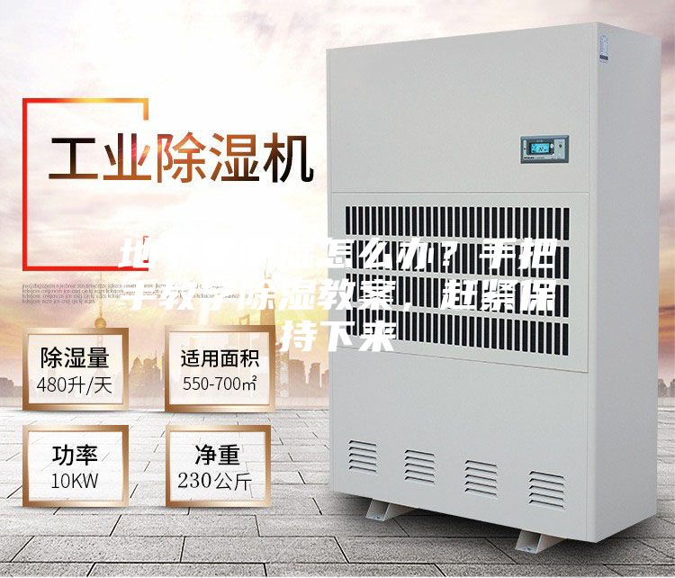 地下室潮濕怎么辦？手把手教學除濕教案，趕緊保持下來