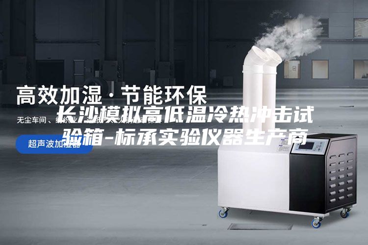 長沙模擬高低溫冷熱沖擊試驗箱-標(biāo)承實驗儀器生產(chǎn)商