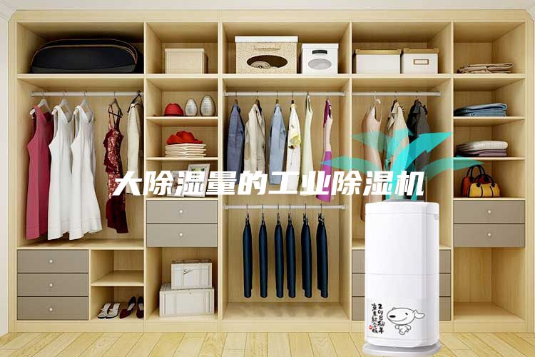 大除濕量的工業(yè)除濕機(jī)