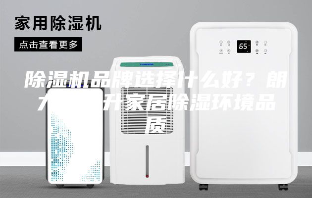 除濕機品牌選擇什么好？朗力信提升家居除濕環(huán)境品質