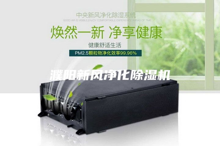濮陽新風凈化除濕機