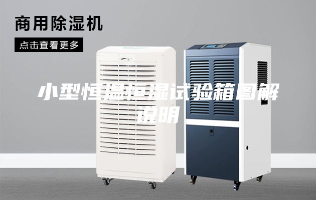 小型恒溫恒濕試驗(yàn)箱圖解說(shuō)明
