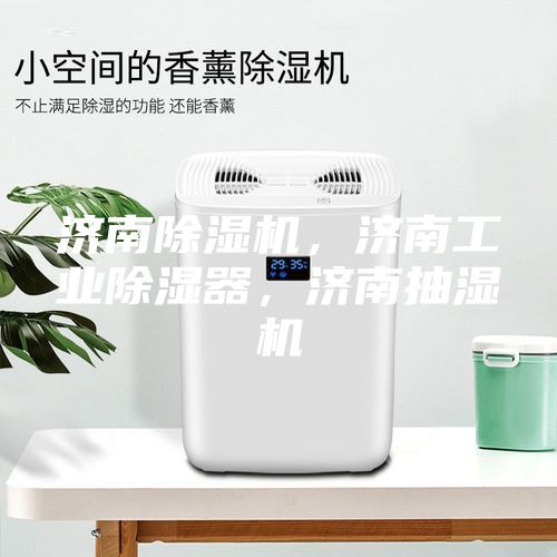 濟南除濕機，濟南工業(yè)除濕器，濟南抽濕機
