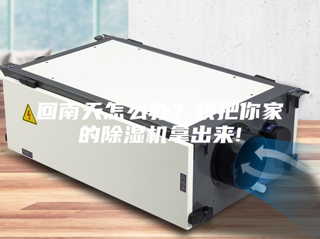 回南天怎么辦？快把你家的除濕機拿出來!