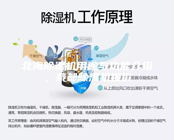 北海除濕機用途與功能介紹，泰都除濕機報價