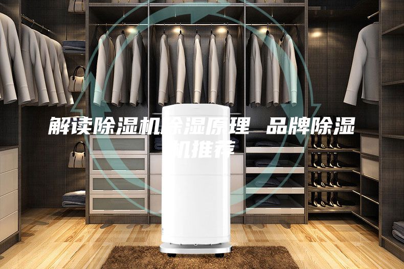 解讀除濕機除濕原理 品牌除濕機推薦