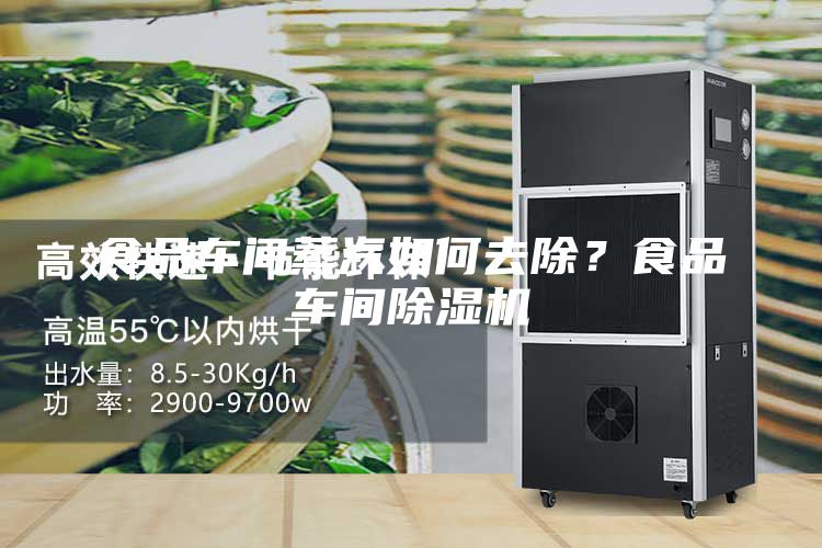 食品車間蒸汽如何去除？食品車間除濕機