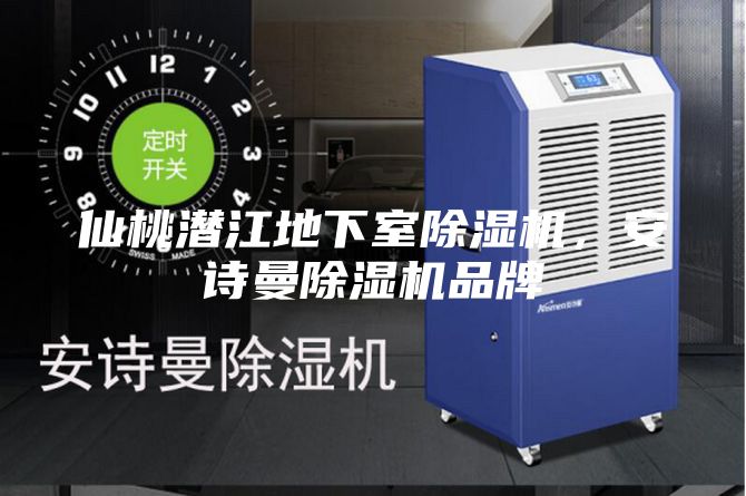 仙桃潛江地下室除濕機，安詩曼除濕機品牌