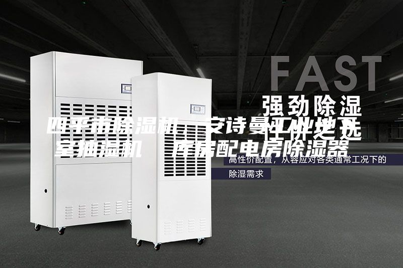 四平市除濕機(jī)，安詩(shī)曼工業(yè)地下室抽濕機(jī)  庫(kù)房配電房除濕器