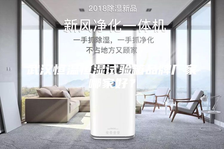 武漢恒溫恒濕試驗(yàn)箱品牌廠家哪家好？