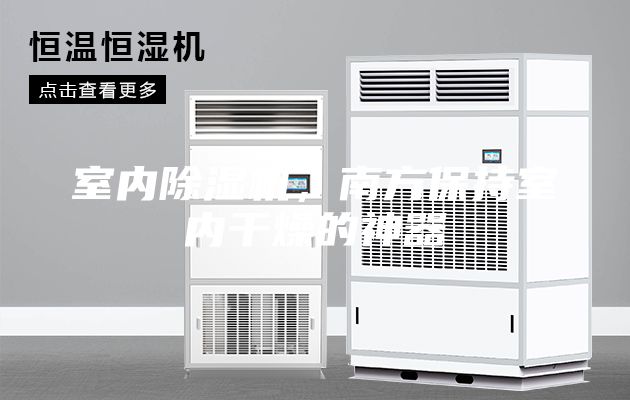 室內(nèi)除濕機，南方保持室內(nèi)干燥的神器