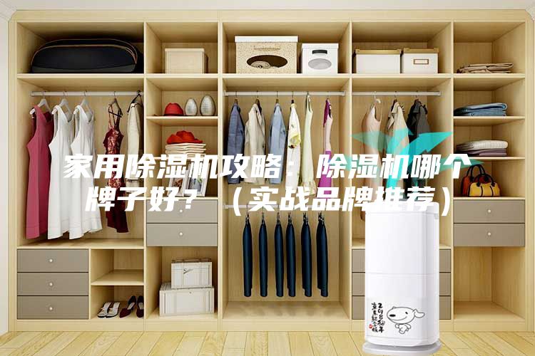 家用除濕機攻略：除濕機哪個牌子好？（實戰品牌推薦）