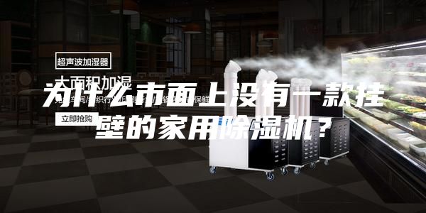 為什么市面上沒(méi)有一款掛壁的家用除濕機(jī)？