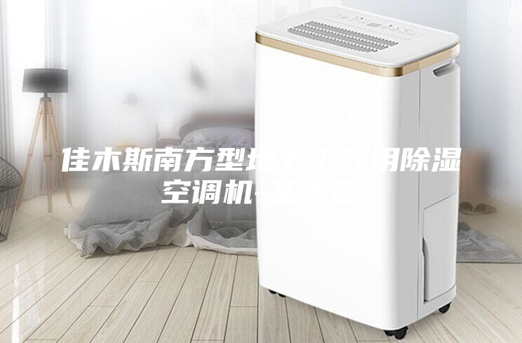 佳木斯南方型地下工程用除濕空調機-基本型