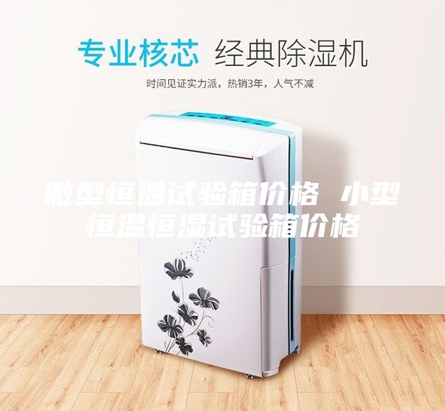微型恒溫試驗(yàn)箱價格 小型恒溫恒濕試驗(yàn)箱價格