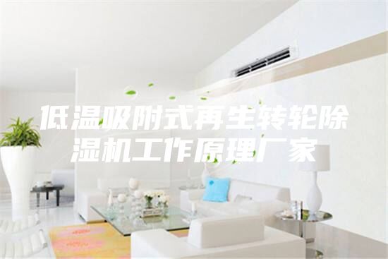 低溫吸附式再生轉(zhuǎn)輪除濕機工作原理廠家