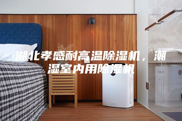 湖北孝感耐高溫除濕機(jī)，潮濕室內(nèi)用除濕機(jī)