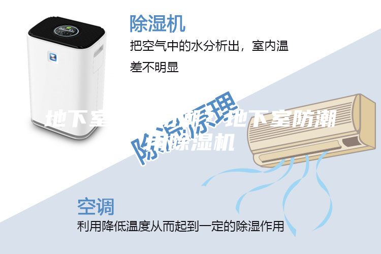 地下室怎么防潮？地下室防潮用除濕機