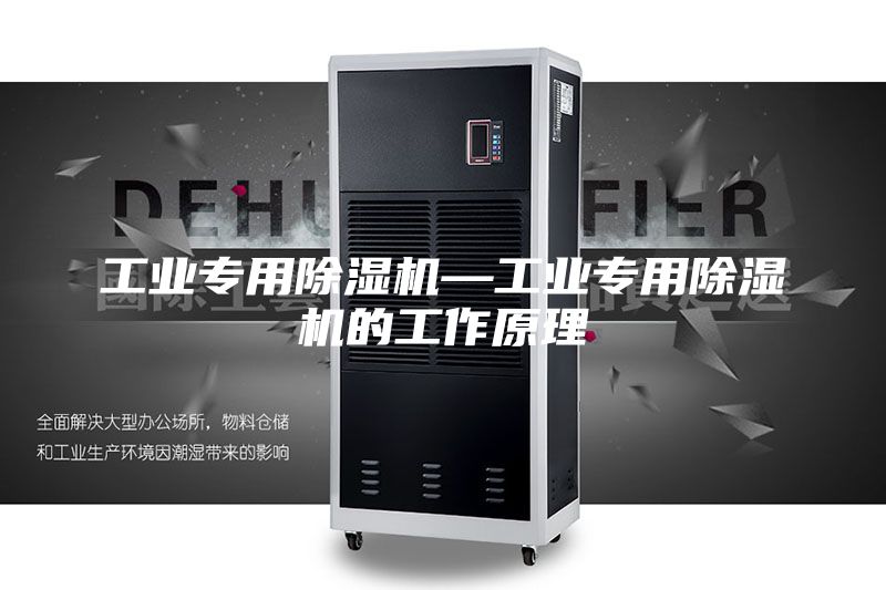 工業(yè)專用除濕機(jī)—工業(yè)專用除濕機(jī)的工作原理