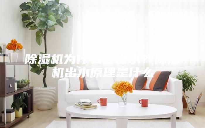 除濕機(jī)為什么會出水？除濕機(jī)出水原理是什么