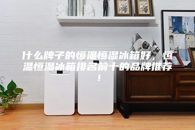 什么牌子的恒溫恒濕冰箱好，恒溫恒濕冰箱排名前十的品牌推薦！