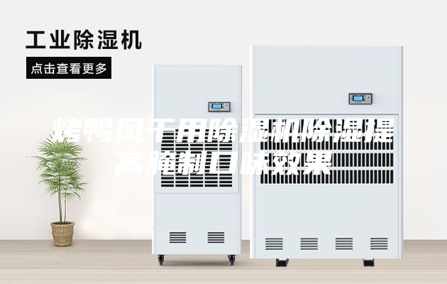 烤鴨風(fēng)干用除濕機除濕提高腌制口味效果