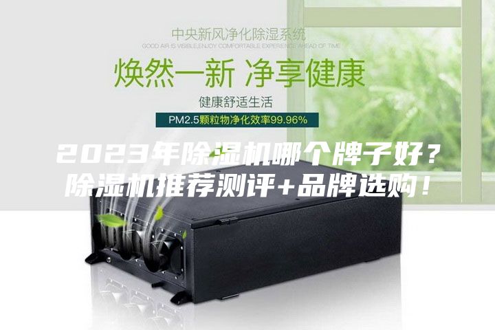 2023年除濕機哪個牌子好？除濕機推薦測評+品牌選購！