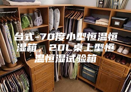 臺式-70度小型恒溫恒濕箱，20L桌上型恒溫恒濕試驗箱