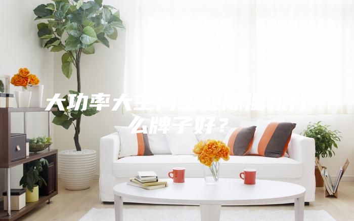 大功率大空間工業除濕機什么牌子好？