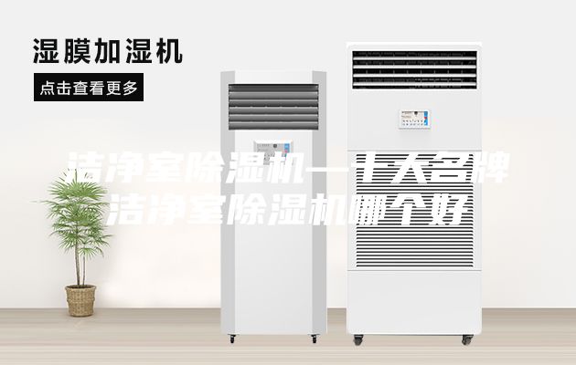 潔凈室除濕機(jī)—十大名牌潔凈室除濕機(jī)哪個好
