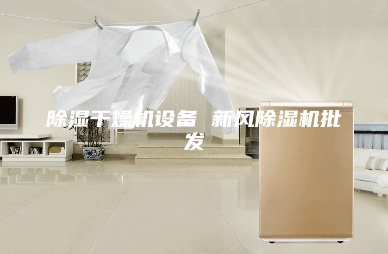 除濕干燥機(jī)設(shè)備 新風(fēng)除濕機(jī)批發(fā)