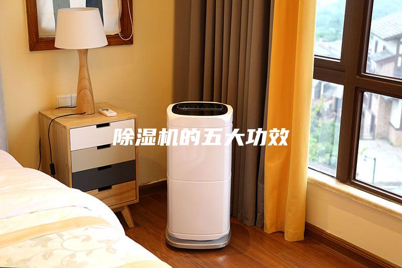 除濕機的五大功效