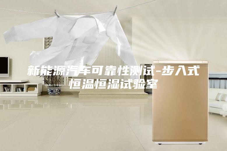 新能源汽車可靠性測試-步入式恒溫恒濕試驗(yàn)室