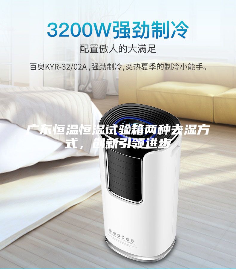 廣東恒溫恒濕試驗箱兩種去濕方式，創新引領進步