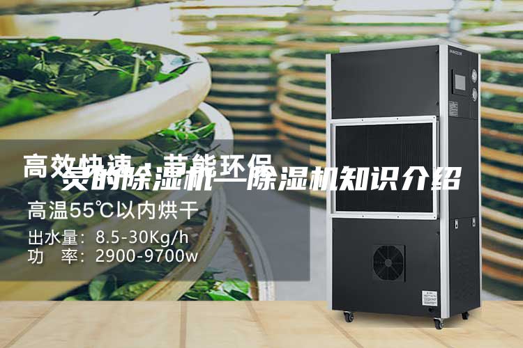 靈的除濕機(jī)—除濕機(jī)知識(shí)介紹