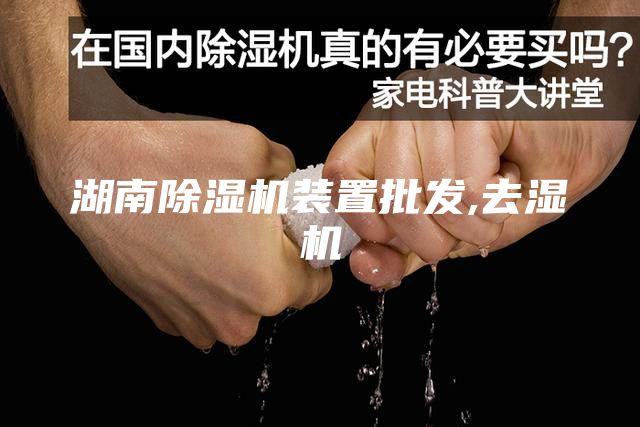 湖南除濕機裝置批發,去濕機