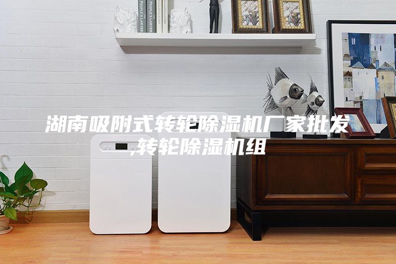 湖南吸附式轉輪除濕機廠家批發,轉輪除濕機組