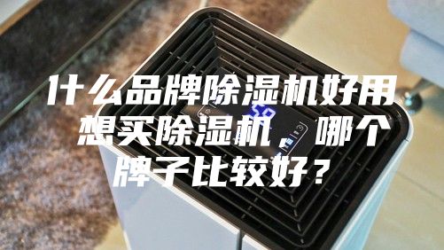 什么品牌除濕機好用 想買除濕機，哪個牌子比較好？