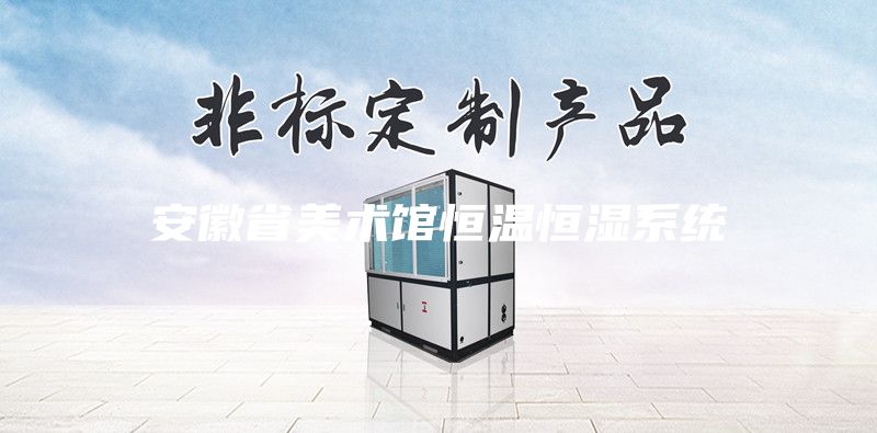 安徽省美術館恒溫恒濕系統