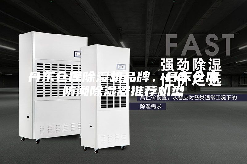 丹東倉庫除濕機品牌，丹東倉庫防潮除濕器推薦機型