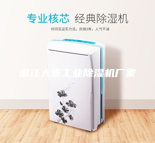 潛江大連工業(yè)除濕機廠家