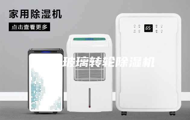 夾層玻璃轉輪除濕機