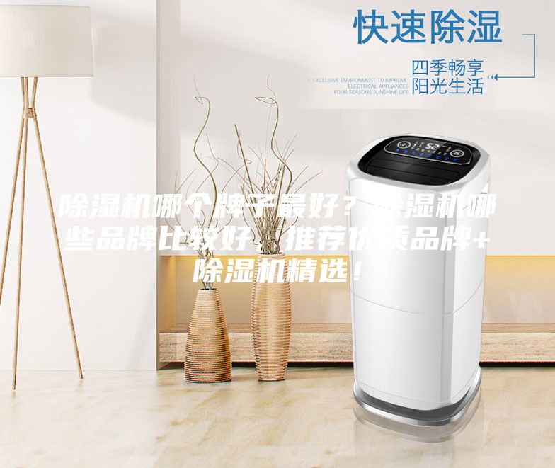 除濕機哪個牌子最好？除濕機哪些品牌比較好，推薦優質品牌+除濕機精選！